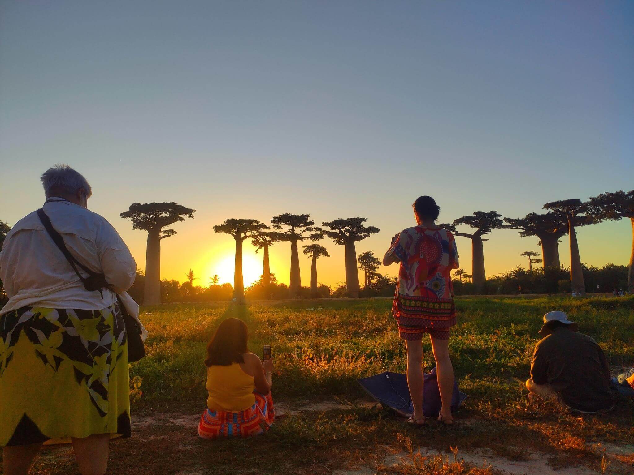 Voyage Madagascar - Baobabs